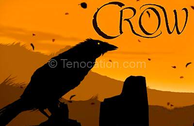 crow