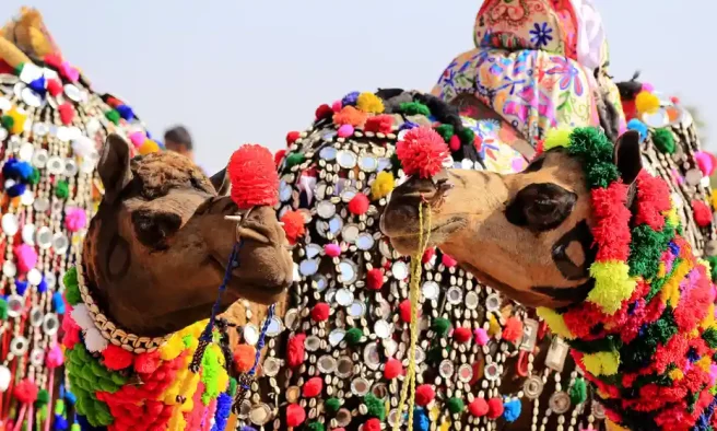 India With Pushkar Camel Fair